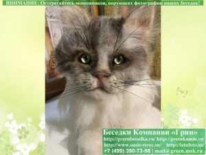 kot02_300x225 image Реалистичный Кот Ручной Работы. Шерсть 100%