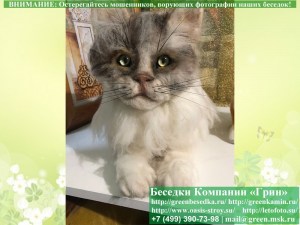 kot04_300x225 image Реалистичный Кот Ручной Работы. Шерсть 100%